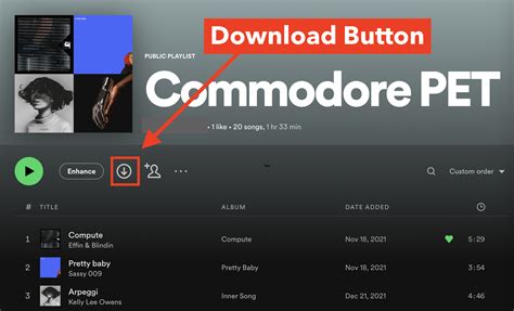 can i download music from spotify on my phone without an active internet connection?