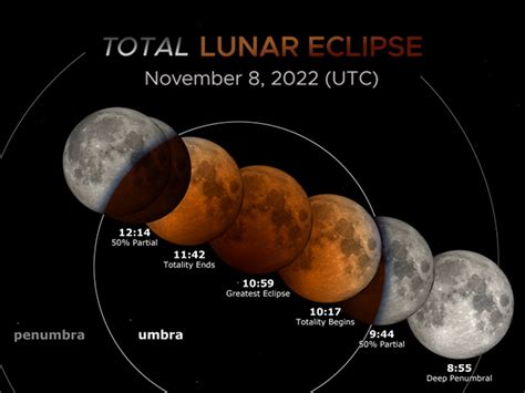 dimeter poetry definition and its curious connection to lunar eclipses