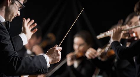 what is a music director and the importance of harmony in a symphony orchestra